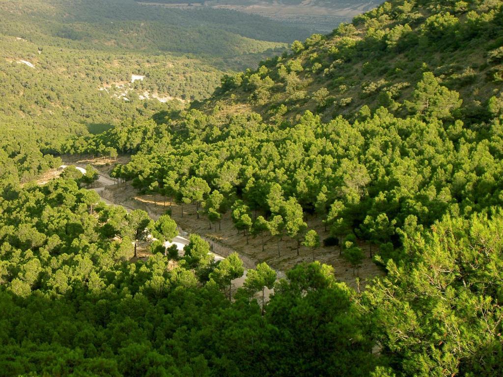Hotel Rural Mas Fontanelles Биар Екстериор снимка